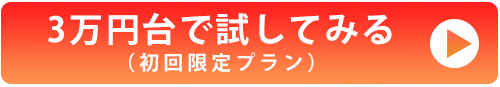 3万円台で試してみる（初回限定プラン）